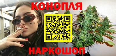 Альфа ПВП Моздок