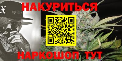 Альфа ПВП Моздок