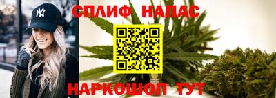 спиды Можга