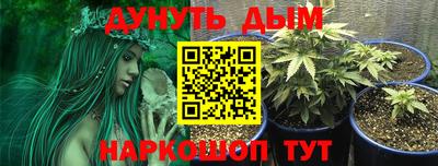 спиды Можга