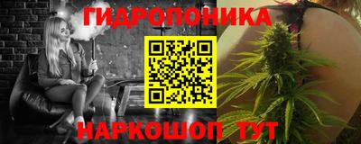 Альфа ПВП Моздок